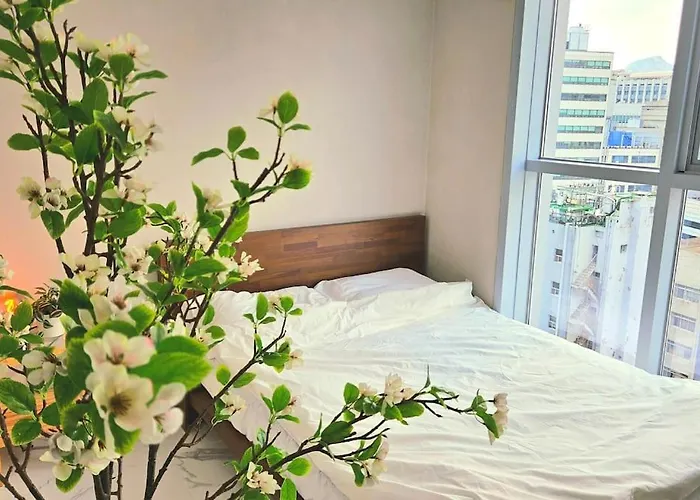 Maison M Apartment *