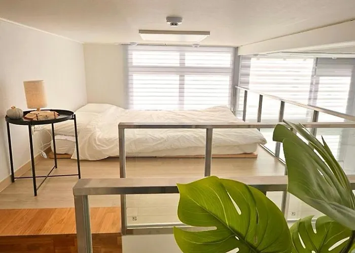 Maison M Seoul